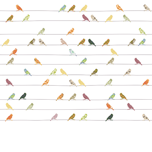 Inke Heiland Muurprint Vogels Bont - Wallprint Birds Multicolor - Wandbild Vogel Bunt
